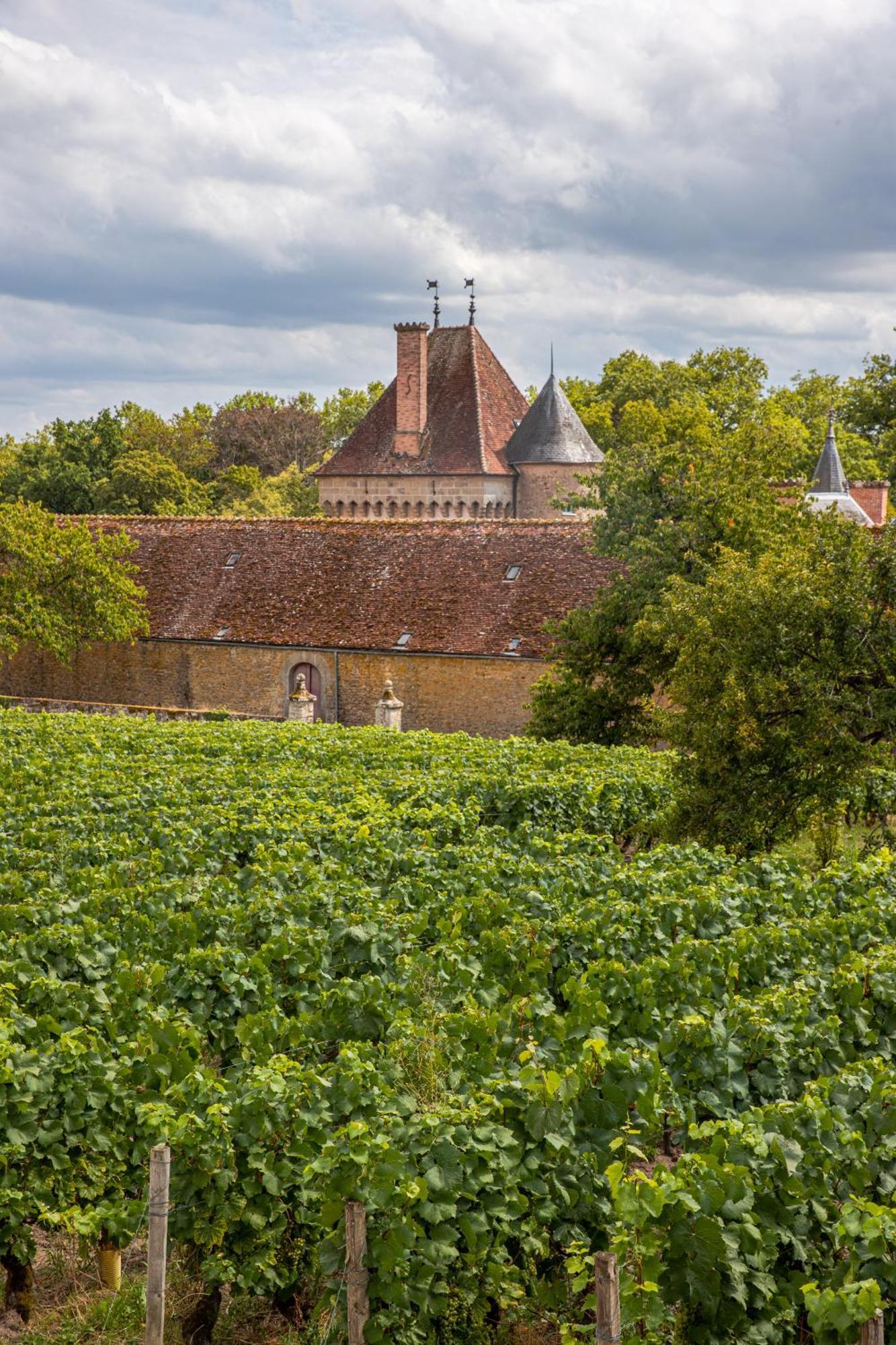Saint-Emiland Chateau De La Grange מראה חיצוני תמונה